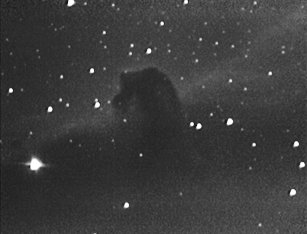 HorseHead