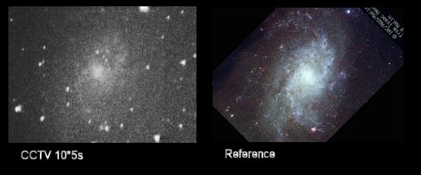 M33