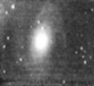 M81