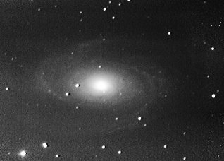 M81
