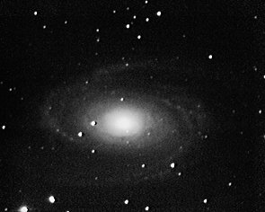 M81