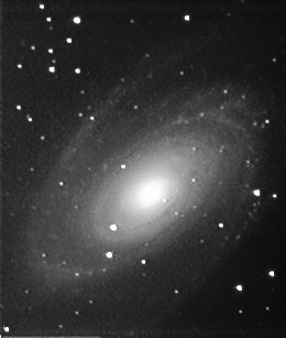 M81